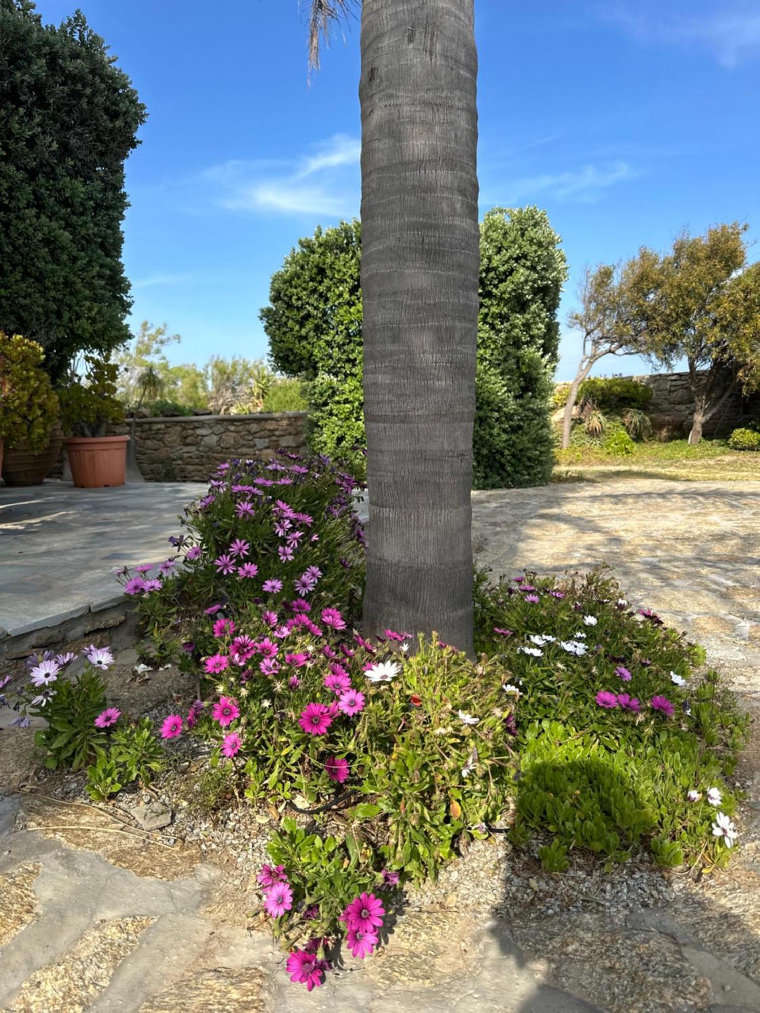 Divers House Agrari  Exterior photo