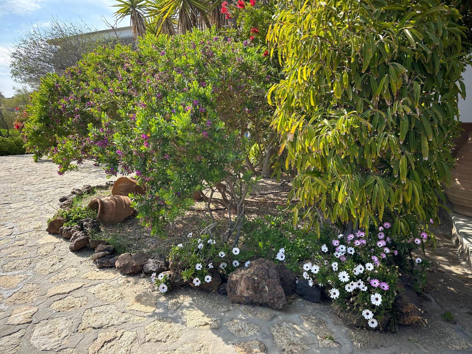 Divers House Agrari  Exterior photo