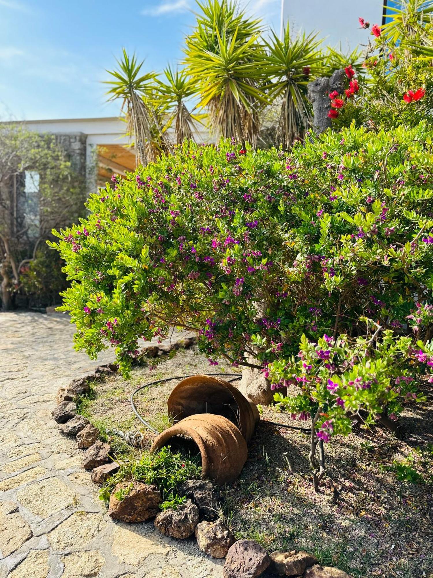 Divers House Agrari  Exterior photo